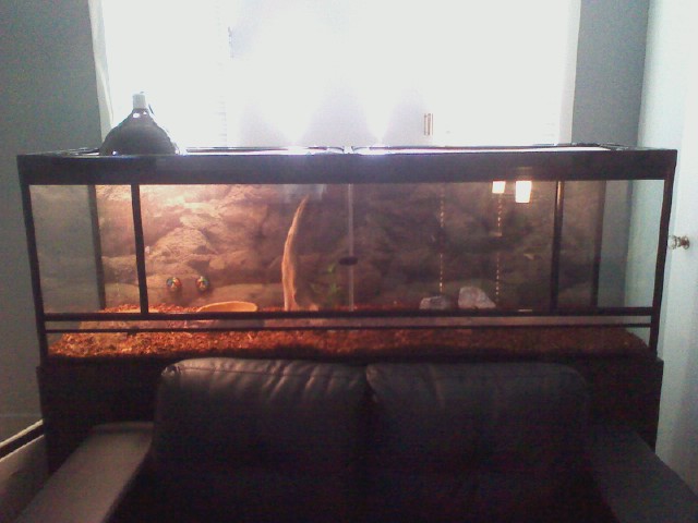 Terrarium2.jpg