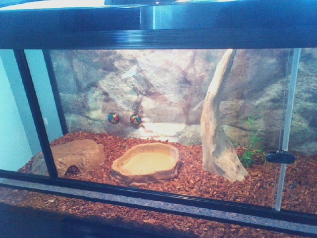 Terrarium3.jpg