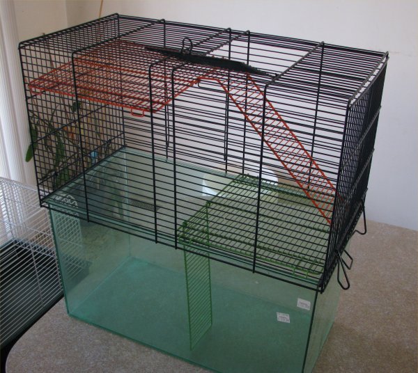 cage2-1.jpg