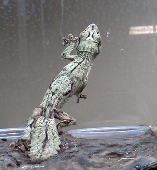 IMG285.jpg