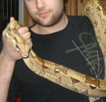 web boa.jpg