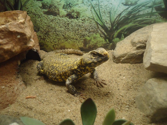 DSC09143.JPG