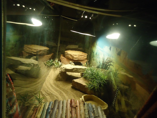 DSC09146.JPG