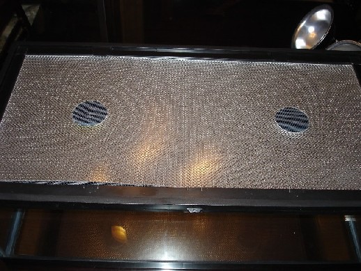 Copie de plastiglass zilla.JPG