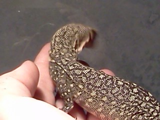 IMG179.jpg