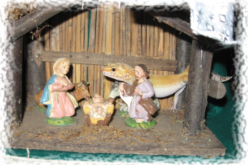 crèche 1.jpg