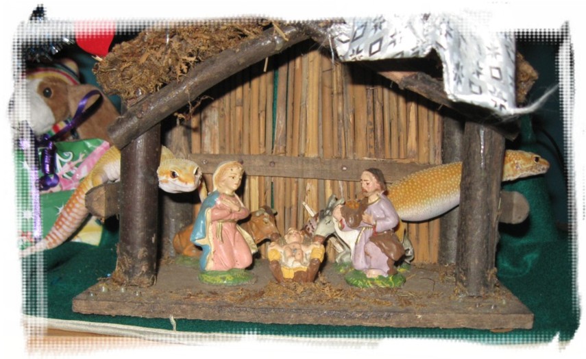 crèche 2.jpg