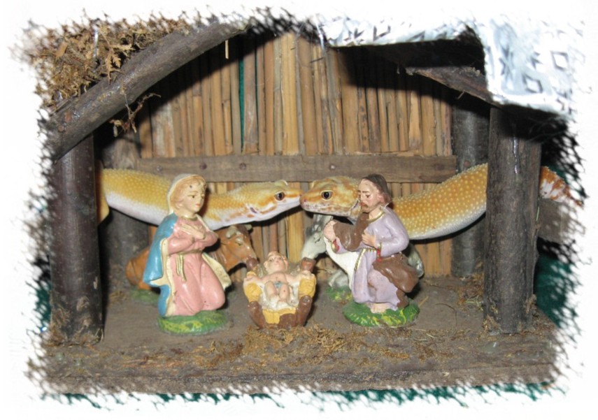 crèche 3.jpg