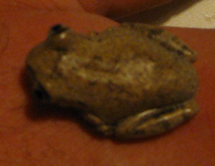 IMG_0702.jpg