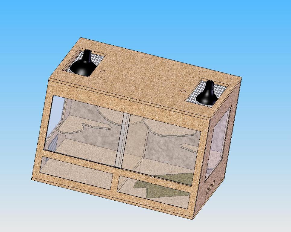 terarium.jpg