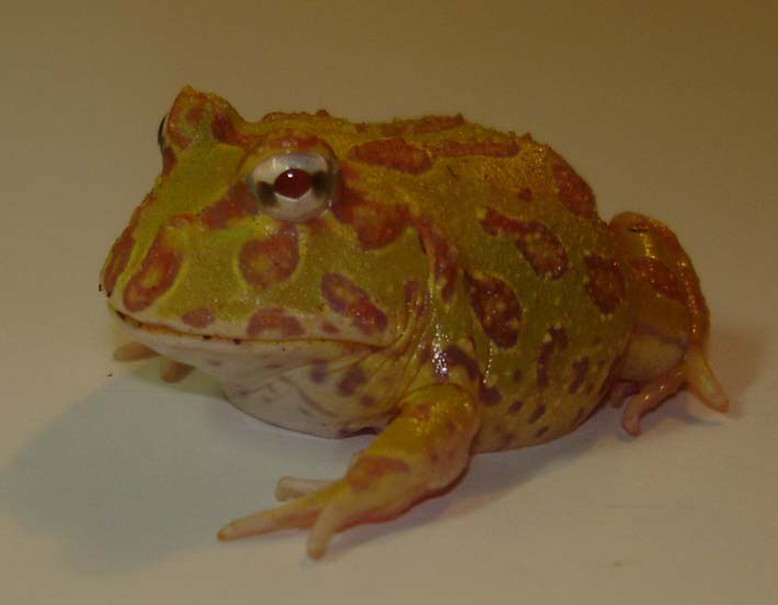 DSC02304.JPG